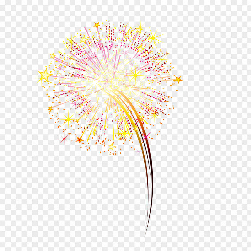 Artifice Illustration Fireworks Firecracker Vector Graphics Image PNG
