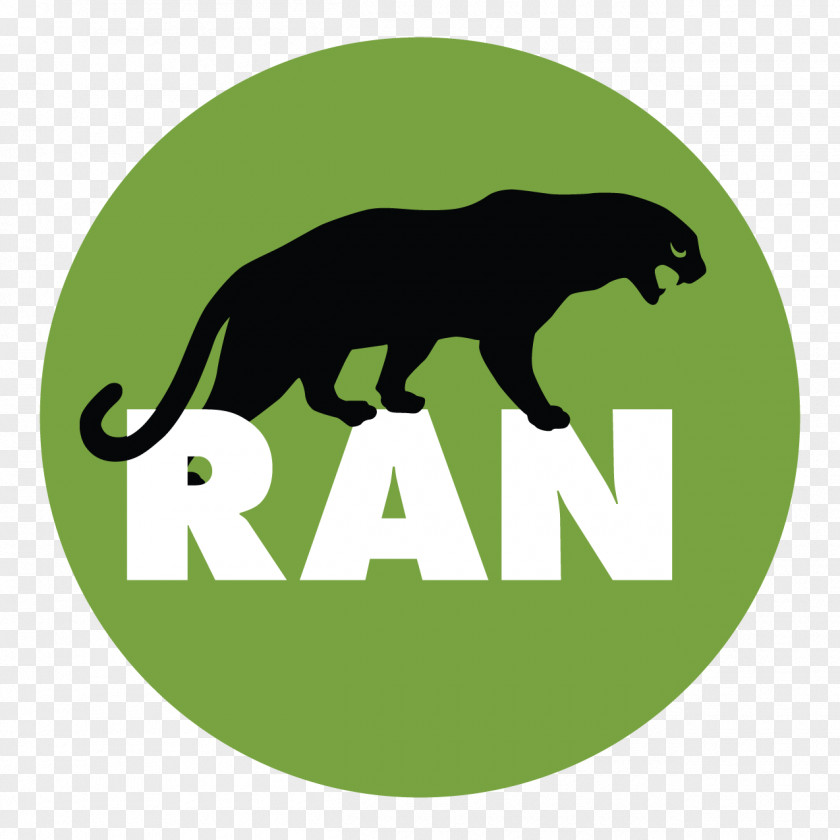 Big Cheese Food Network Brand Logo Cat Rainforest Action United States Of America PNG
