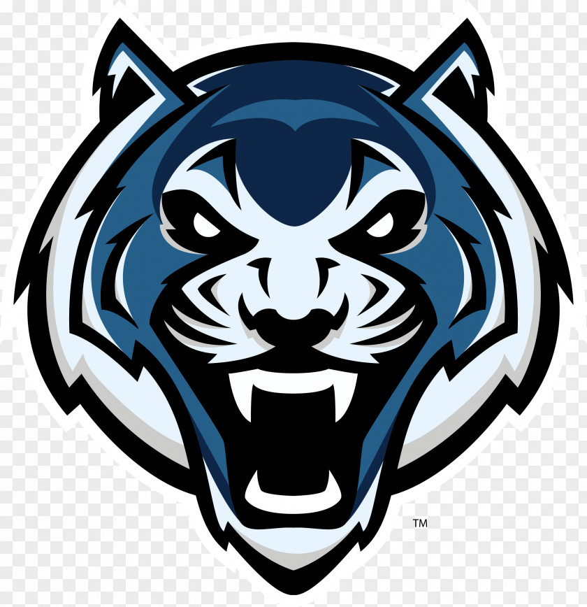 Brandsbaycom Lincoln University Of Central Missouri Blue Tigers Women's Basketball Northeastern State Truman PNG