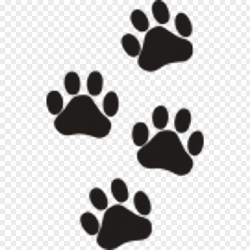 Cat Paw Dog Bear Tiger PNG