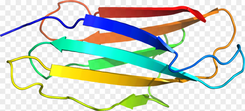Corticotropinreleasing Hormone Receptor 1 Goggles Clip Art Product Design Line PNG