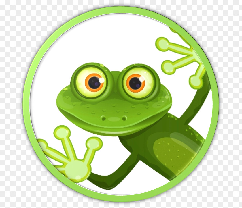 Frog Common Tree Amphibian Clip Art PNG