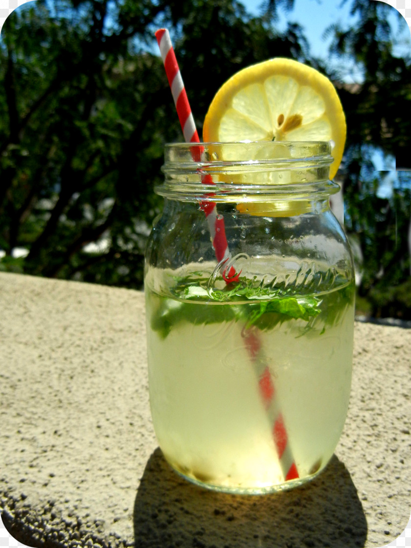 Mojito Mint Julep Limeade Cocktail Garnish Lemonade PNG