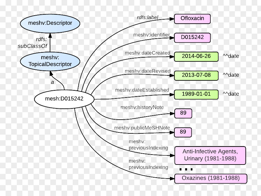 Organism Line Diagram Angle PNG Angle, line clipart PNG