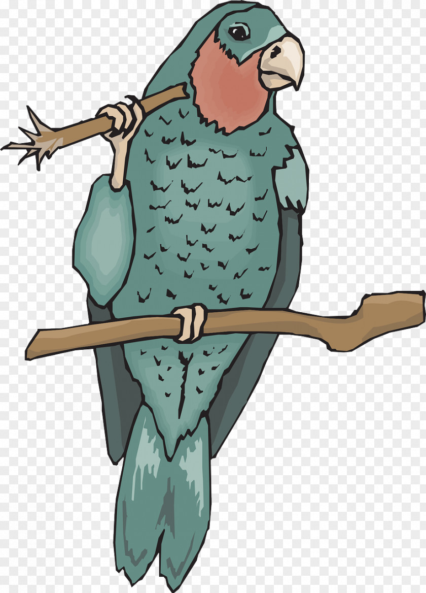 Pale Blue Bird Amazon.com Amazon Parrot True Clip Art PNG
