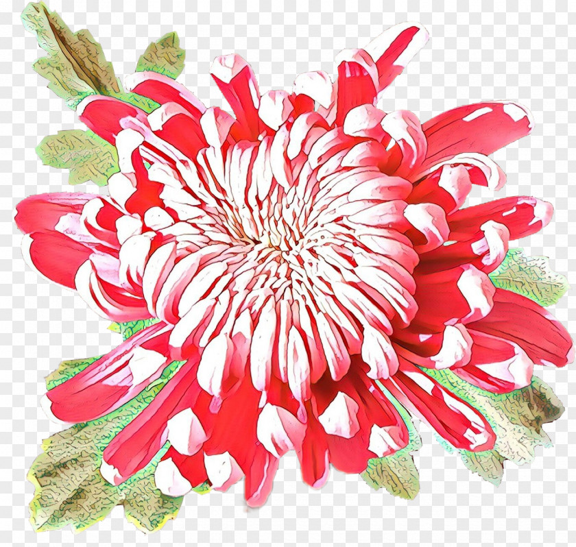 Passion Flower Family Protea Flowers Background PNG
