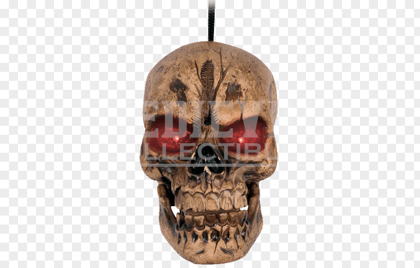 Skull Head Human Skeleton Bone PNG