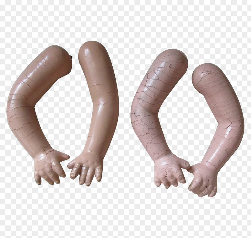 Thumb Frankfurter Würstchen PNG