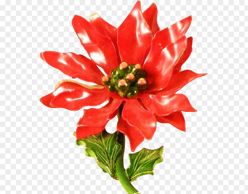 Artificial Flower PNG