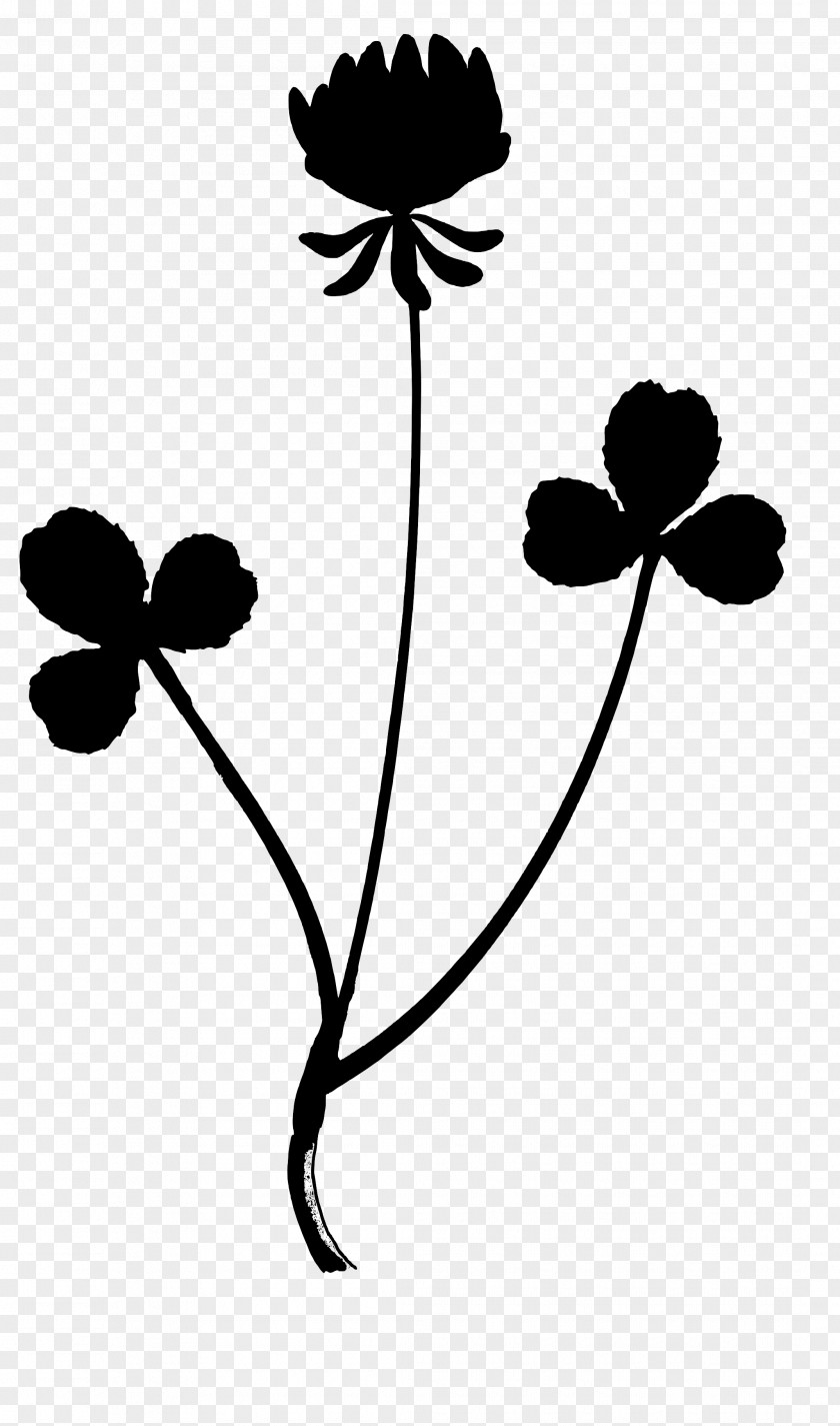 Clip Art Leaf Plant Stem Line Silhouette PNG