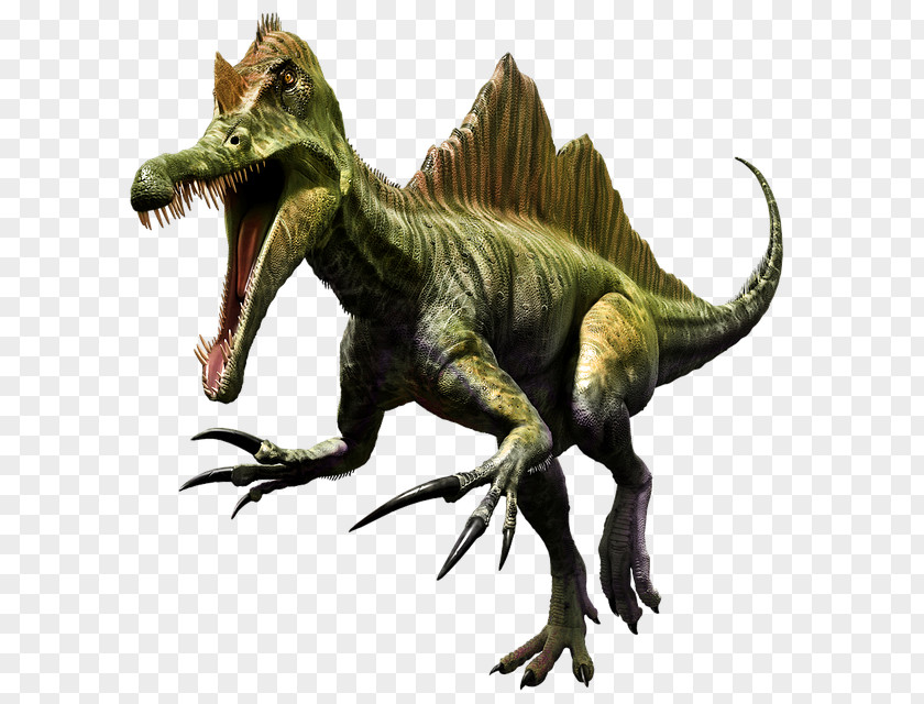 Dinosaur Spinosaurus Tyrannosaurus Stegosaurus Image PNG