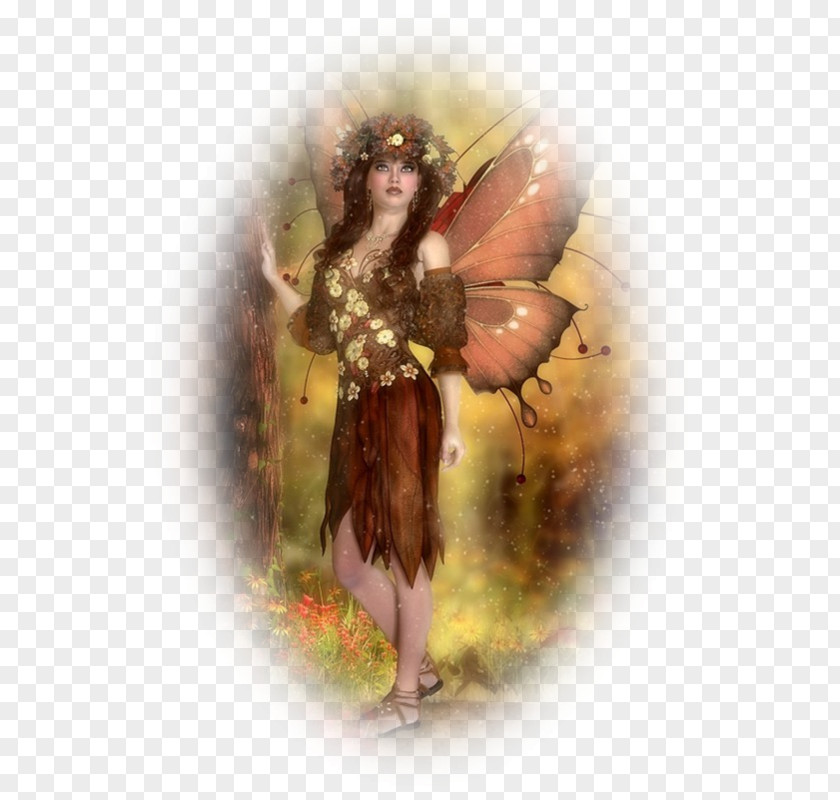 Fairy Costume Design Angel M PNG