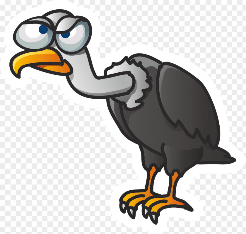 Ostrich Vector Bird Vulture Cartoon U0e01u0e32u0e23u0e4cu0e15u0e39u0e19u0e0du0e35u0e48u0e1bu0e38u0e48u0e19 PNG