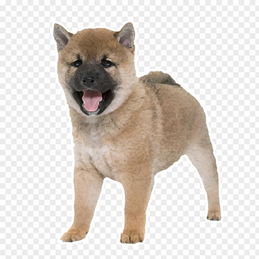 Puppy Czechoslovakian Wolfdog Shiba Inu Hokkaido Shikoku Dog Breed PNG