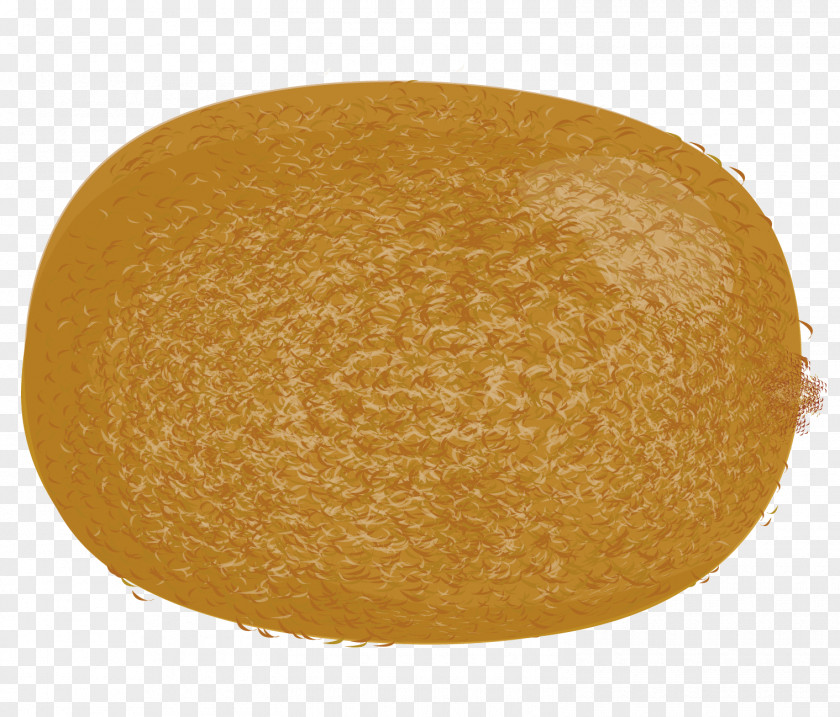 A Kiwi Material Circle PNG