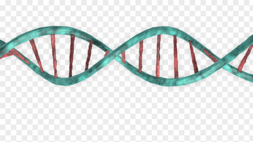 DNA Three-dimensional Space Stock Photography PNG