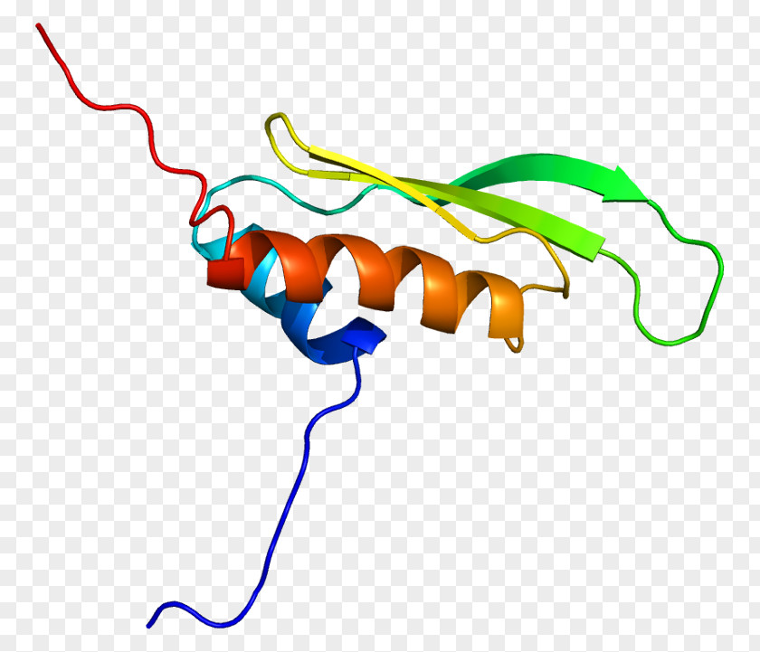 Double-stranded RNA Viruses PRKRA Protein Kinase PNG
