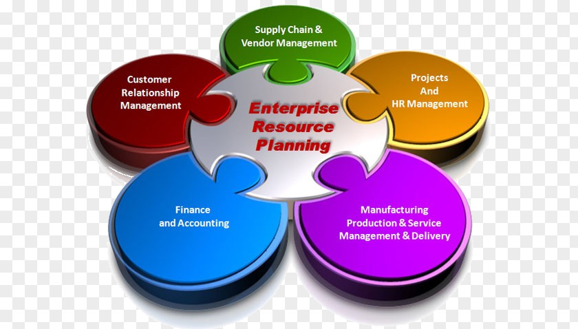 Financial Management Enterprise Resource Planning Computer Software Business Implementation Human System PNG