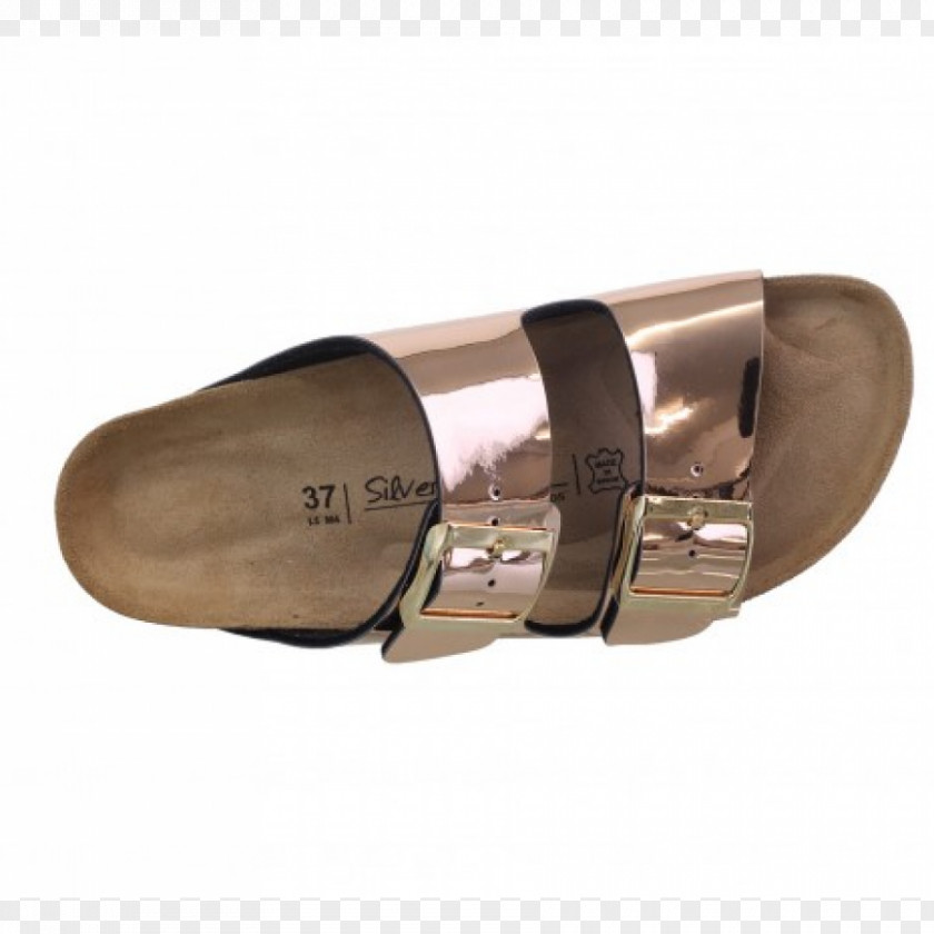 Sandal Shoe PNG