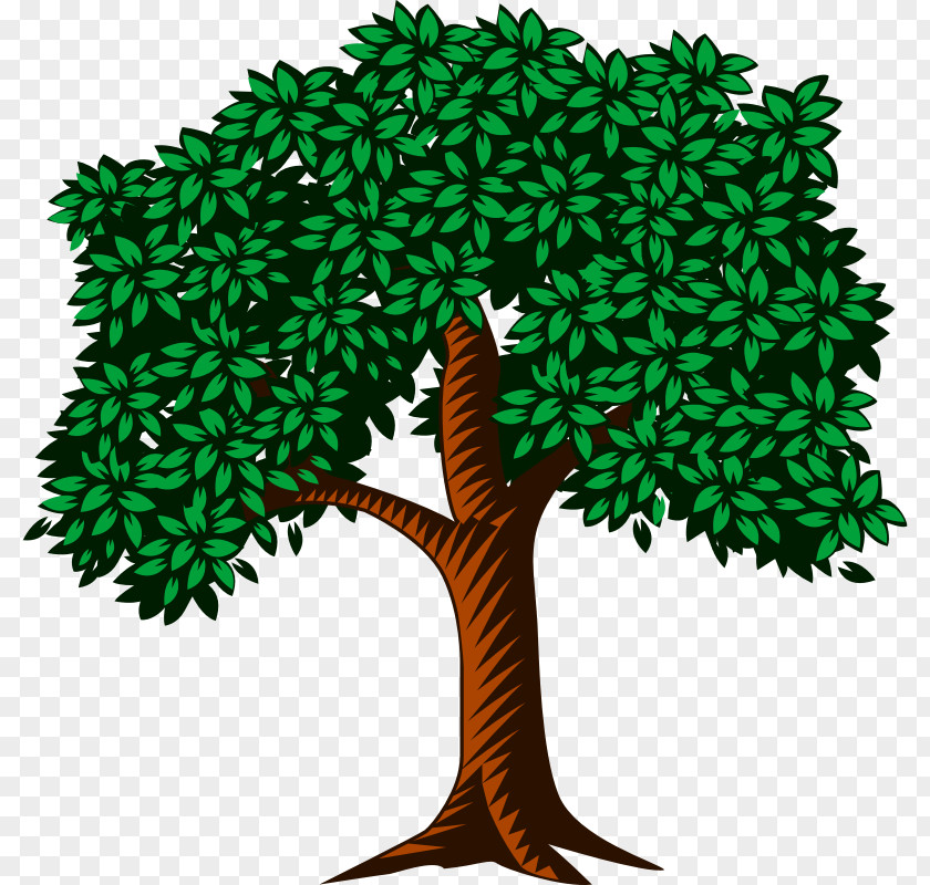 Woodland Tree Clip Art Openclipart Vector Graphics Image PNG