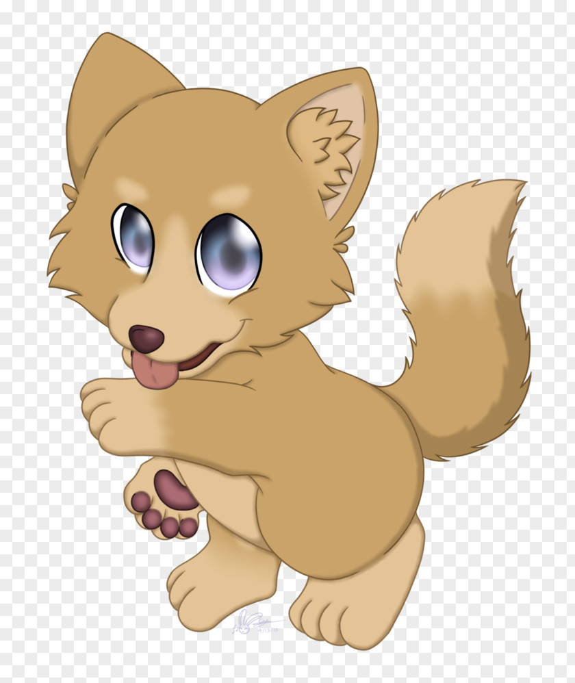 Afternoon Cat Dog Red Fox Puppy PNG