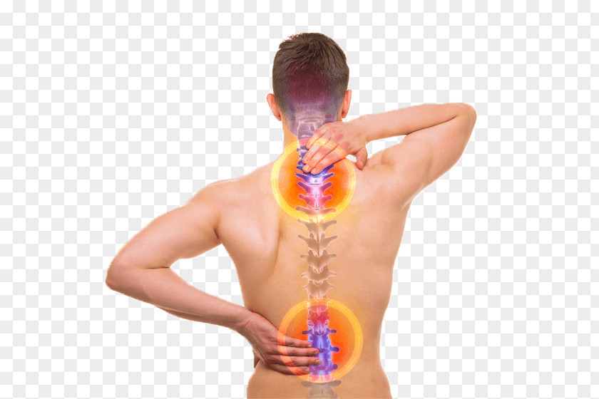 Back Pain Neck Vertebral Column Stock Photography Bone PNG