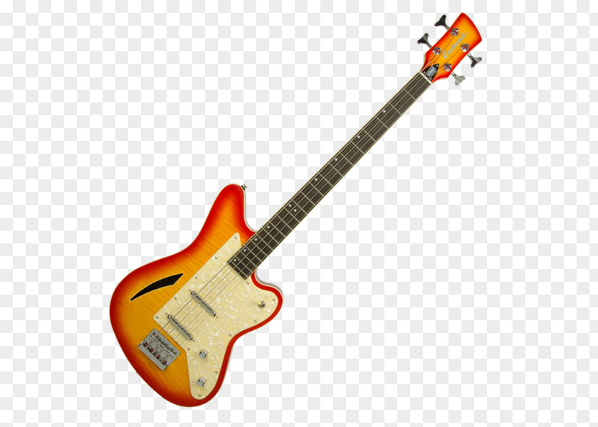 Bass Guitar Fender Stratocaster Musical Instruments Mustang PNG