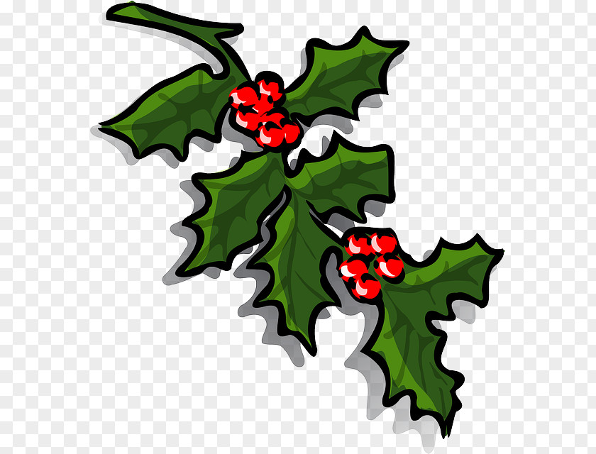 Decorative Petal Common Holly Clip Art PNG