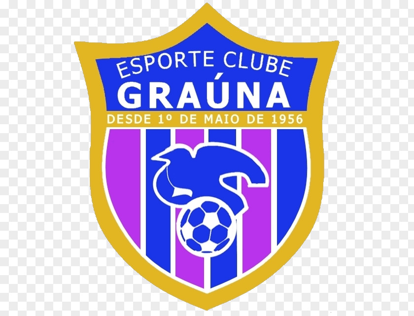 Esporte Clube Sports Association Guarapari Itapemirim Logo PNG