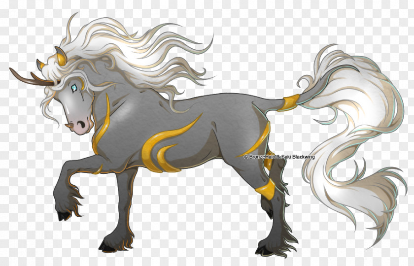 Mustang Unicorn Illustration Carnivores Naturism PNG