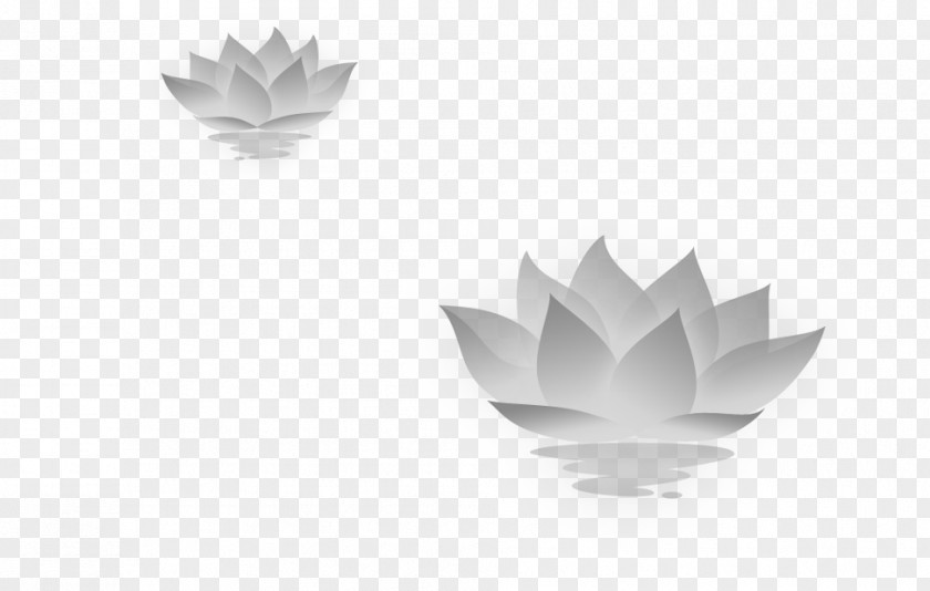 The Lotus Flower Nelumbo Nucifera Icon PNG