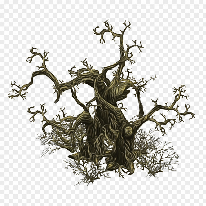 Flower Root Tree PNG