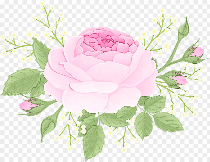 Petal Garden Roses PNG