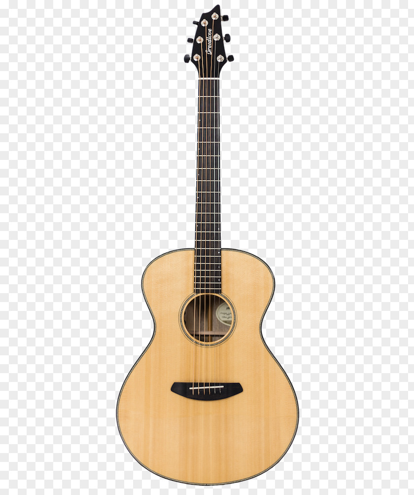 Acoustic Concert Guitar Acoustic-electric Classical PNG