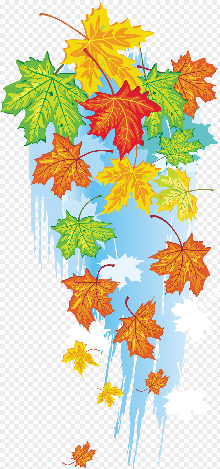 Autumn Leaves Maple Leaf Vegetativ Organlar PNG