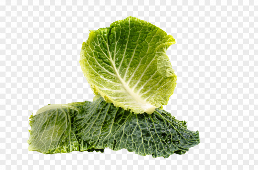 Cabbage Smoothie Vegetarian Cuisine Kale Health Food PNG