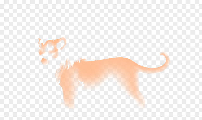 Dog Whiskers Cat Snout Desktop Wallpaper PNG