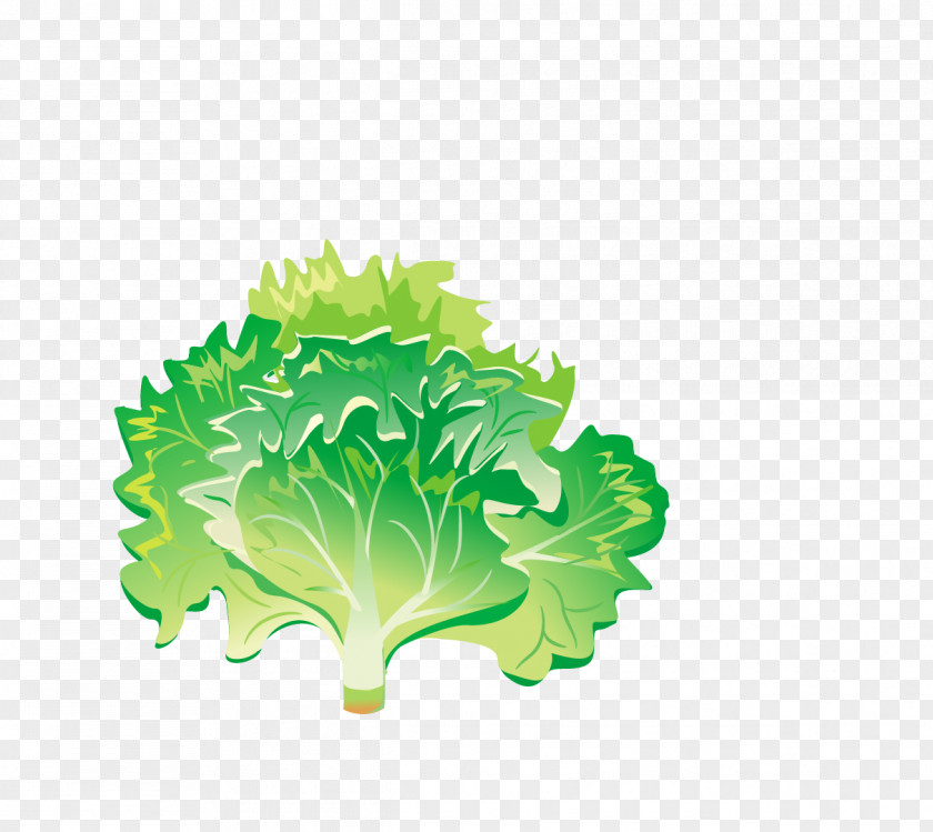 Green Vegetables Health Shake Leaf Vegetable Food Tomato PNG