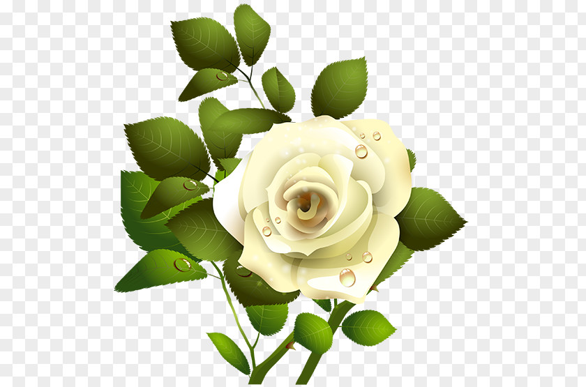 Islam Floral Garden Roses PNG