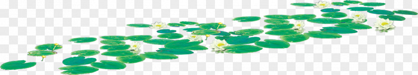 Lotus Leaf Effect PNG