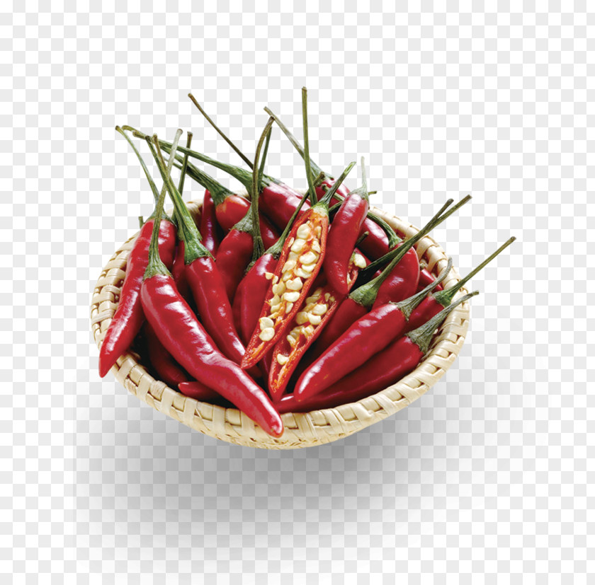 Pepper Pictures Birds Eye Chili Chile De Xe1rbol Tabasco Cayenne PNG