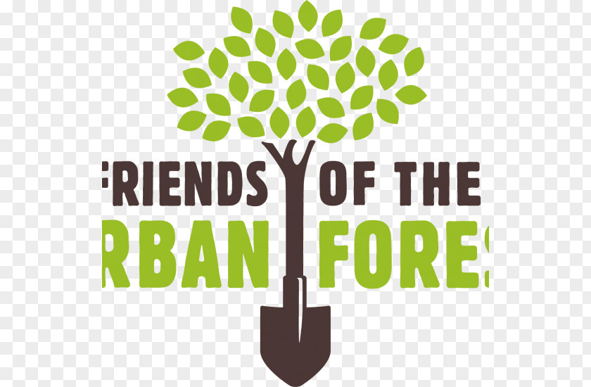 Rainforest Alliance Friends Of The Urban Forest Non-profit Organisation Organization Consultant Forestry PNG