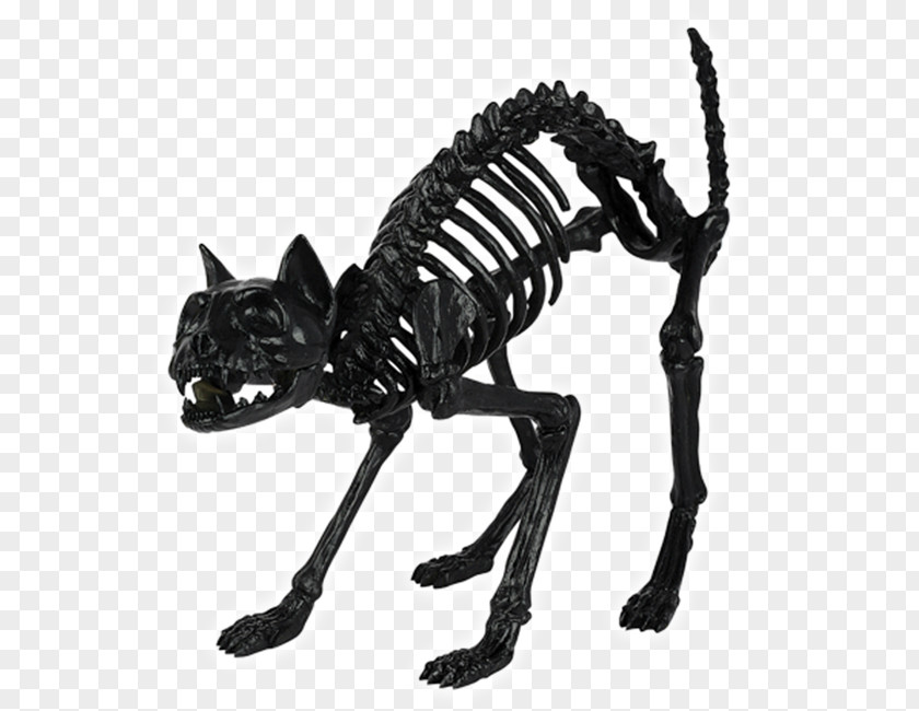 Skull Skeleton Bone Spirit Halloween Cat PNG