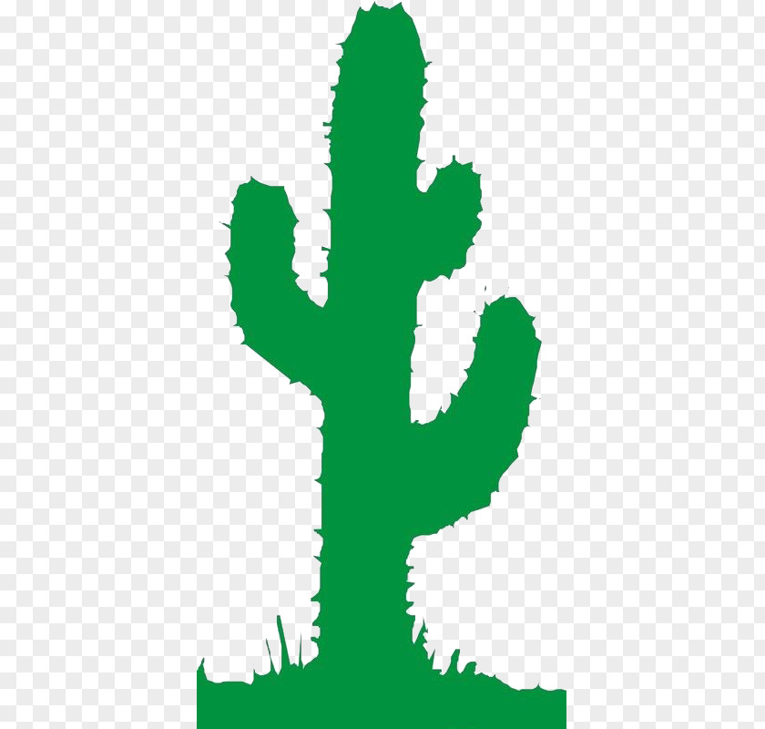 Cactus Cactaceae Cartoon Clip Art PNG
