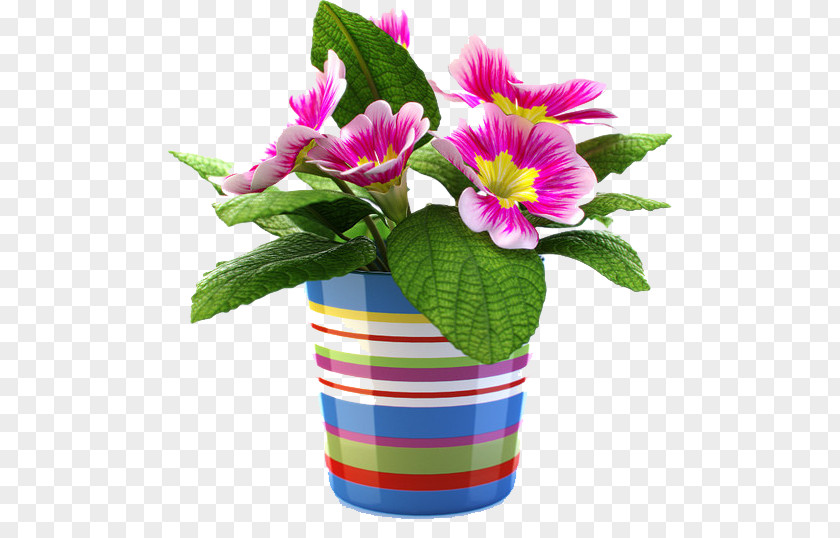 Flowerpot Drawing Vase PNG