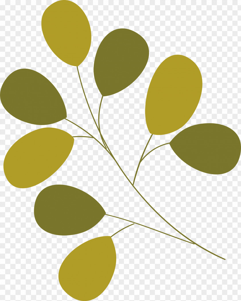 Plant Stem Branch Leaf Yellow Line PNG