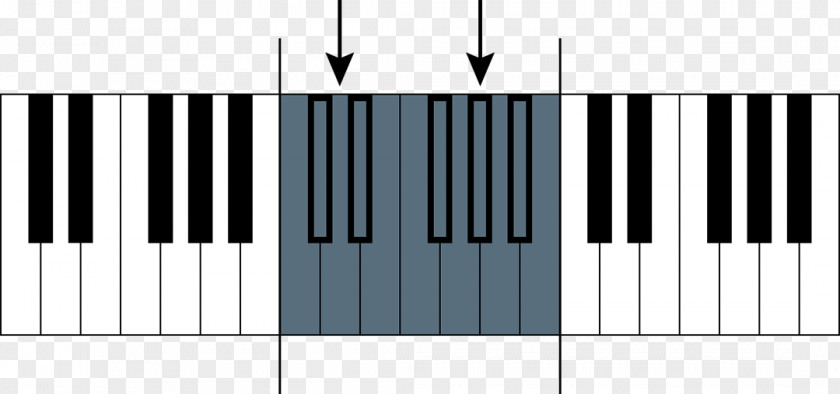 Practice The Piano Digital Electric Electronic Keyboard Musical Pianet PNG