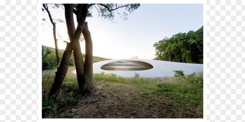 Teshima Art Museum ArtScience Architecture PNG