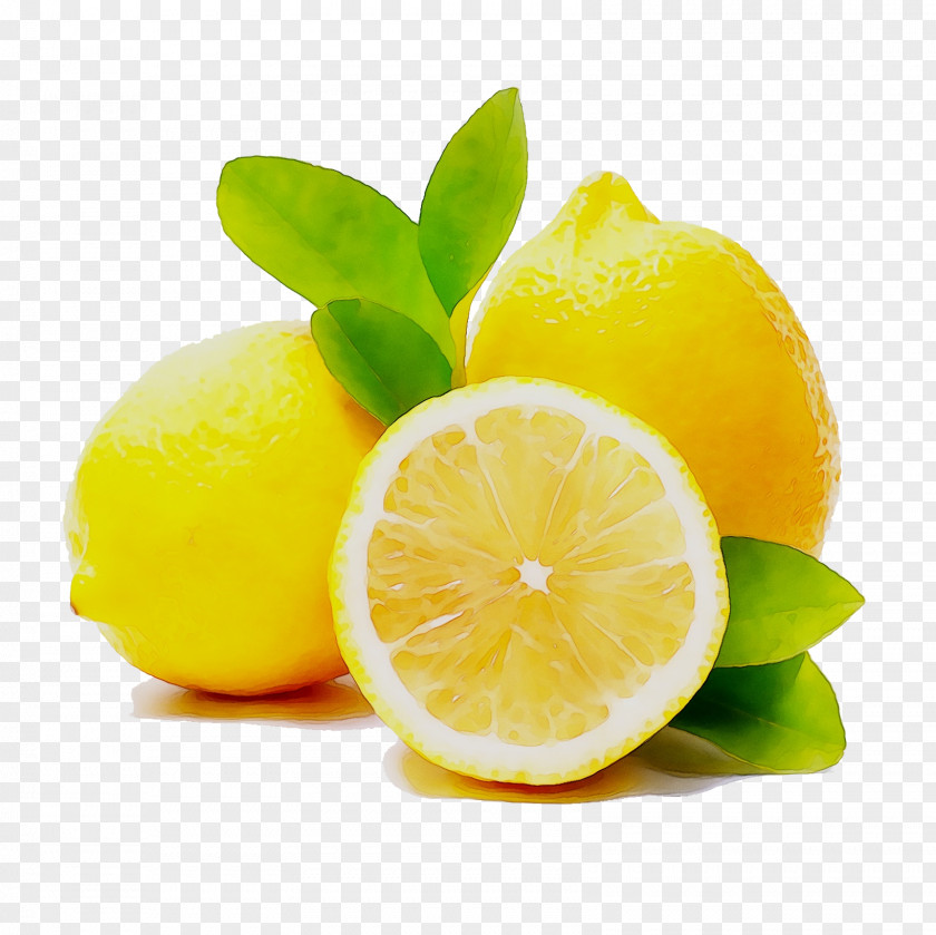 Lemon Eau De Cologne Lime Cosmetics Essential Oil PNG