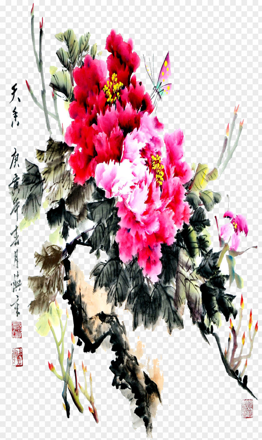 Peony Luoyang Floral Design Moutan Flower PNG